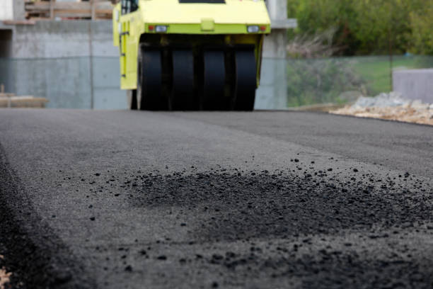 Best Driveway Paving Contractor  in Muse, PA